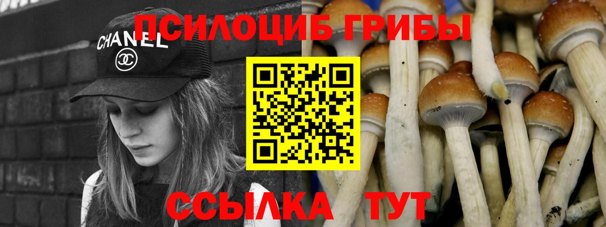 Галлюциногенные грибы Cubensis Гурьевск